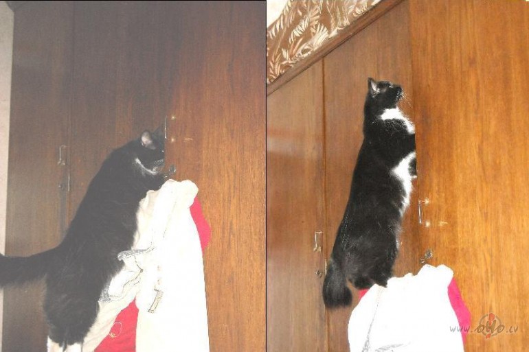 Uz skapi, uz skapi:)