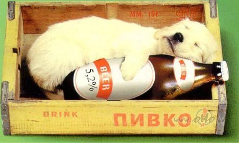 ��Klaus�jos dziesmi�u- K� man gar�o alus!...man b�t�b� negar�o, bet ...