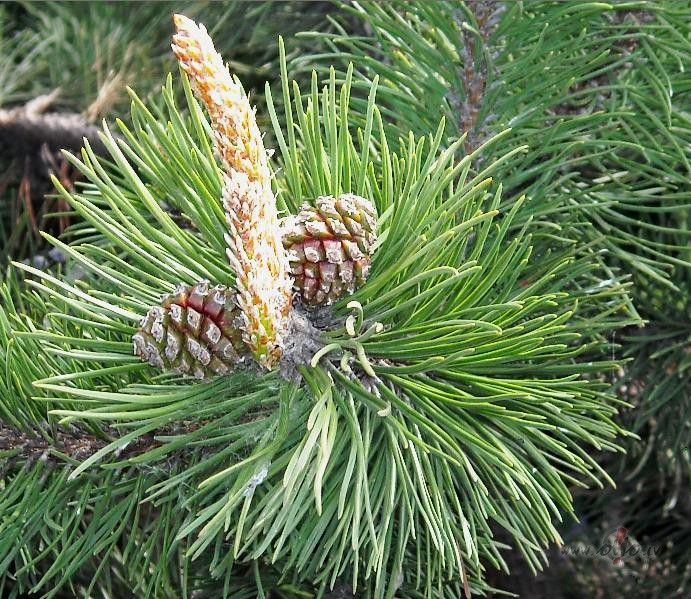 Viens t�ds...nu...kaut kas...