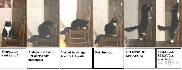 Pluksa joproj�m neatmet cer�bas:))