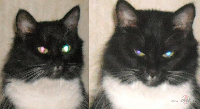 Jaun�s ka�acu kr�sas:)) 