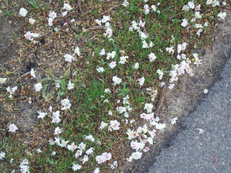 Ja man b�tu tik �oti vienalga,k� to �odien apgalvoju,tad laikam gan ...