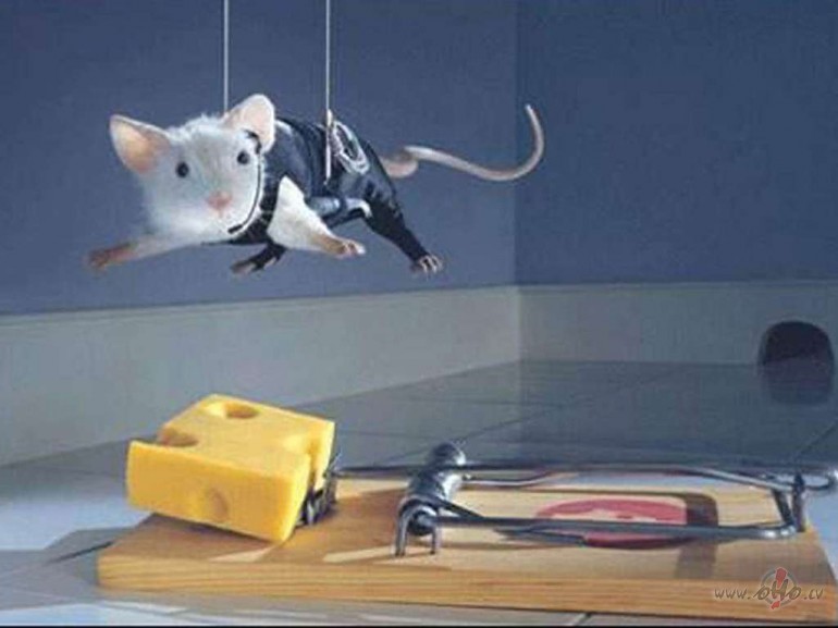 Ir sevi j�pazaud� ,lai var�tu atrast .
..... es nebaidos pazaud�t ...