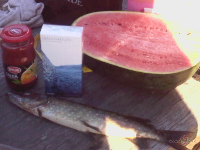 Br�vdienas beigu��s,beidzot m�j�s....