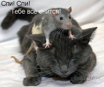 Help...