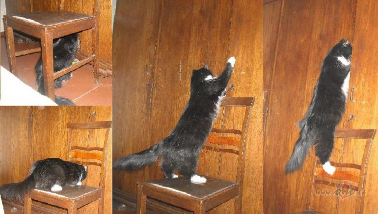 Turpin�jums /skap� IR j�tiek!/