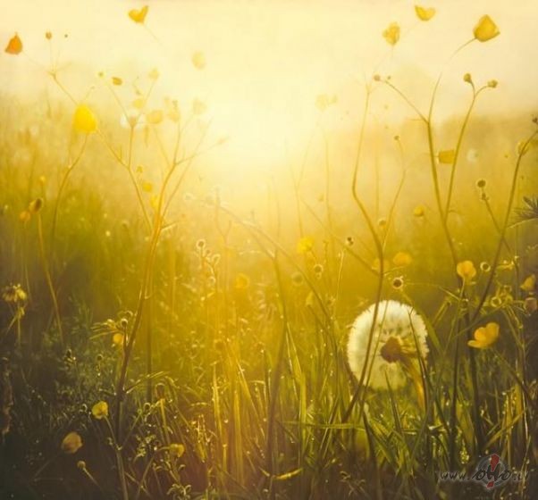 Tik skaists �is r�tsTik dzidrs un bez v�jaKa liekas Tavas ...