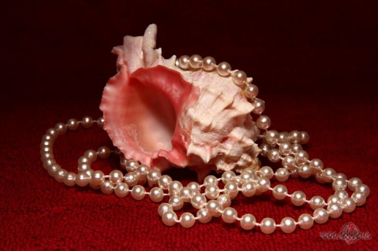 Man patika k� viena mana pazi�a �odien teica:
Ar� mani ir sk�rusi ...