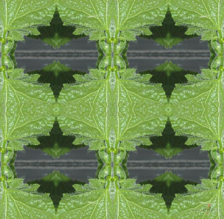 Gur�is daudzk�r�otais.