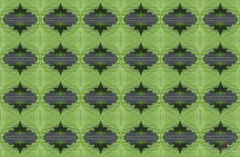 Un gur�a vari�cijas kleitas audum�:))