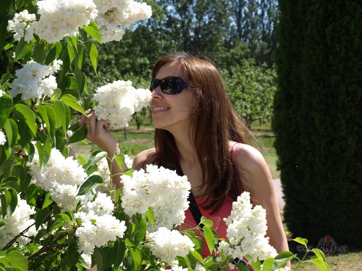 starp debes�m un zemi