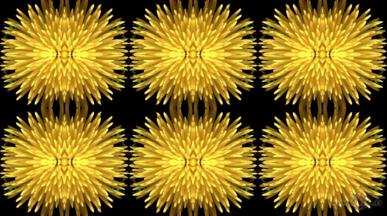 Jauns auduma paraugs