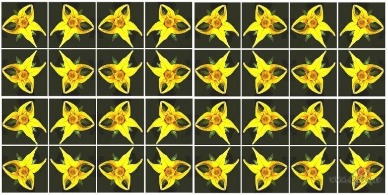 Fl�zes. Tom�ta zieds.