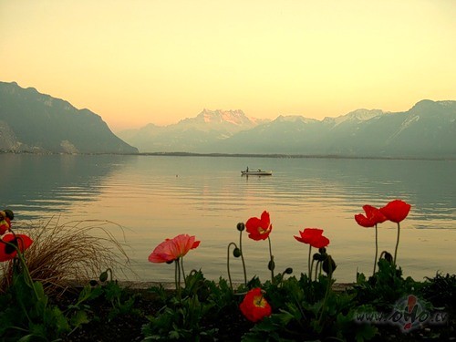 Lietus lap�s pa�ukst�s,K� mums k�du samekl�tJ��t�rpi�u ats�t�s,Kas ...