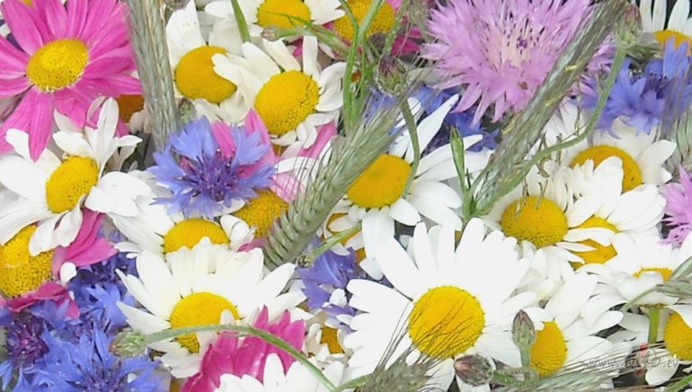 caur nezin�mo uz zin�mo