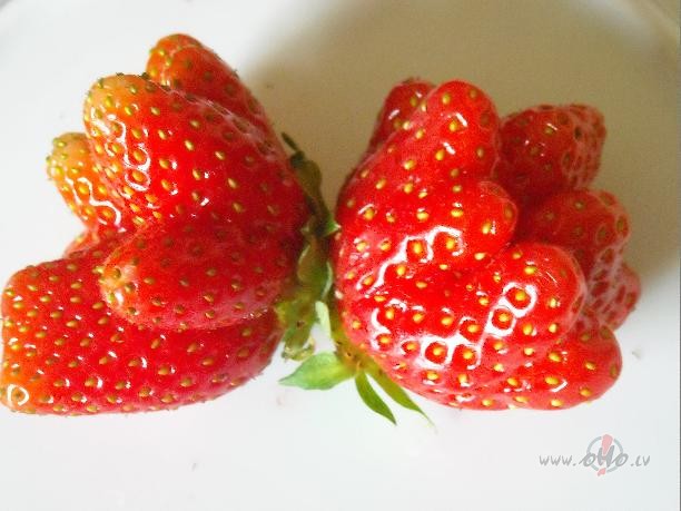 Burvei pat zemenes t�das joc�gas...ragainas:))