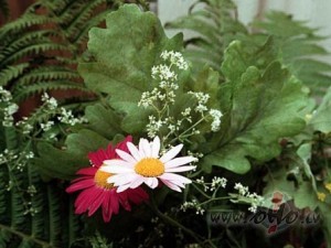 &nbsp;Ak, dieni�as, k� j�s gan skrient! Kl�t jauns, pats jauk�kais ...