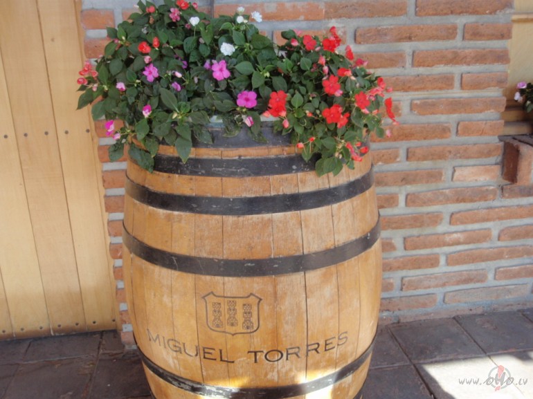 J��u ieska�ai...