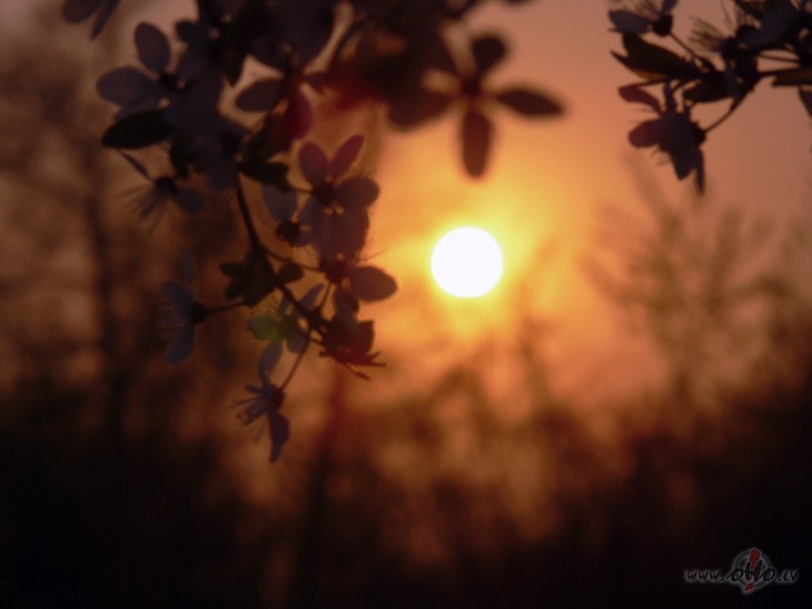 Tik mier�ga un klusa naktsVarb�t tik gad� vienreiz ir,Kad staro maigi ...