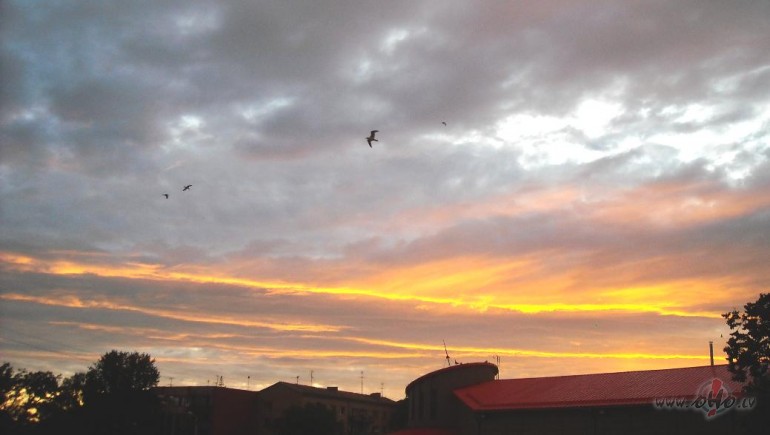 �or�t debesis dega..