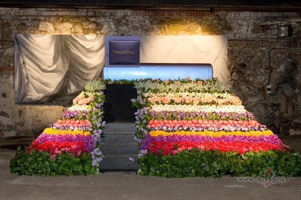 Gribas aizb�gt no dz�ves ? - ar� tas iederas ekscentrisk�s personas ...