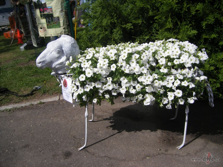 Ko tik neizdar�si kad iedvesma../C_T/:)))