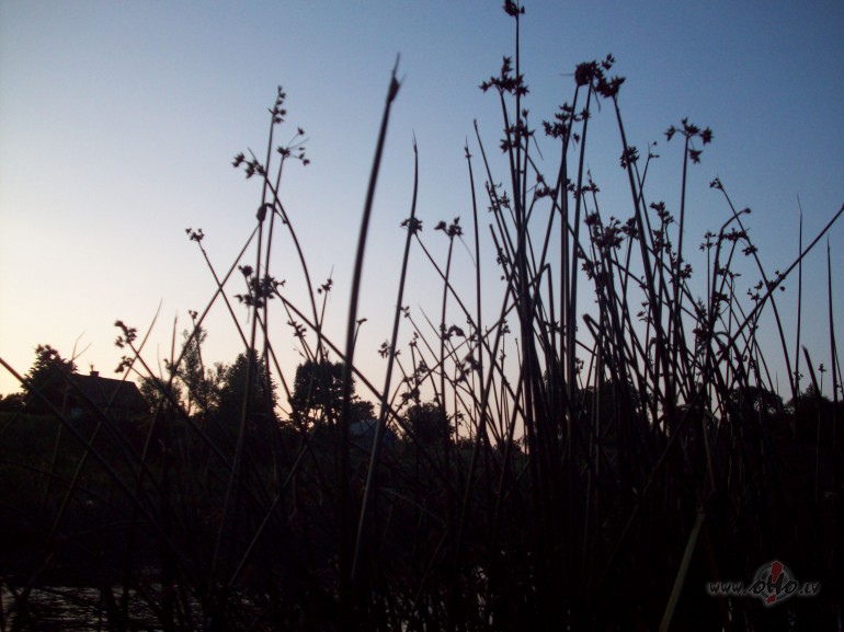 Pl�nveida romantika.Nemaz nav slikti.