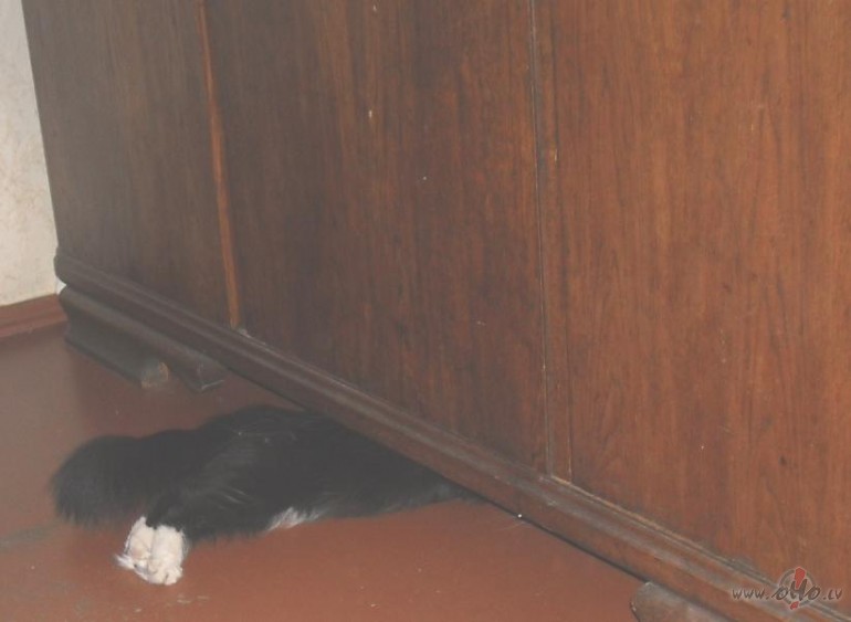 Tad izp�te no apak�as.