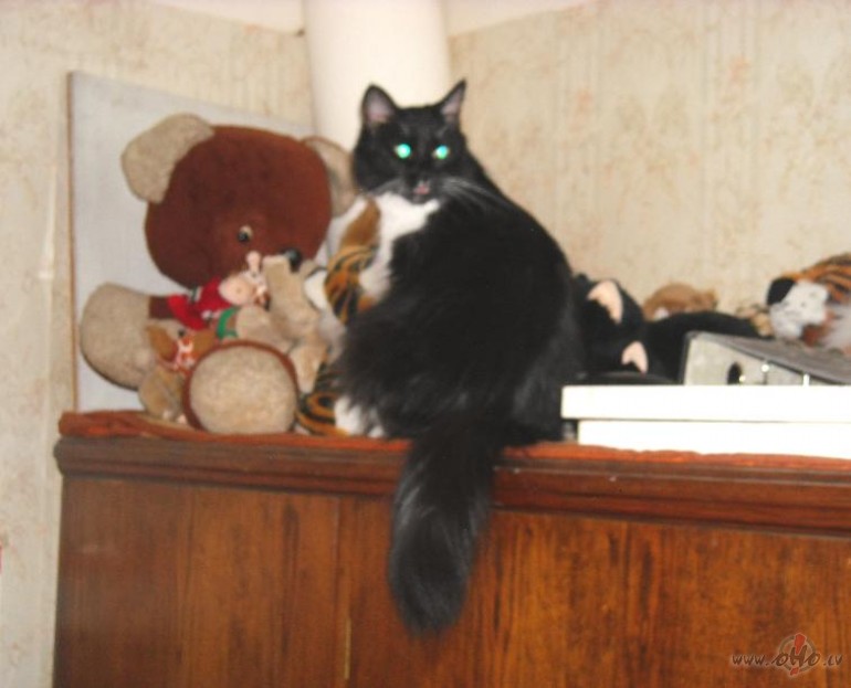 Un tad virsotne ir sasniegta!