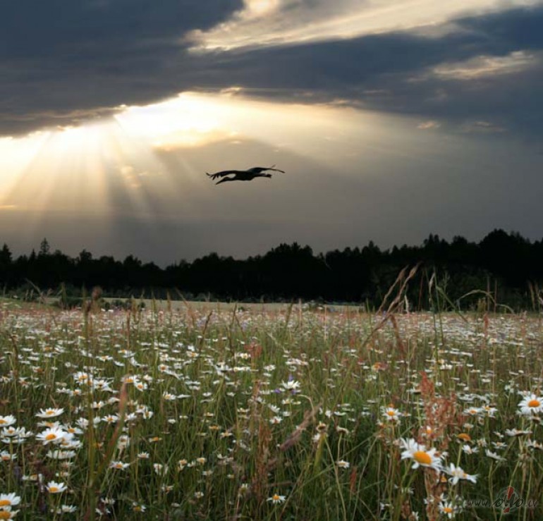 Bet �ovakares gribu Tevi satikt,lai n�c Tu sap�u p�av� t�,ka ...