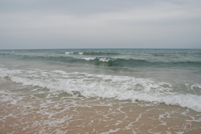 ,,Hill diar,, viesn�ca