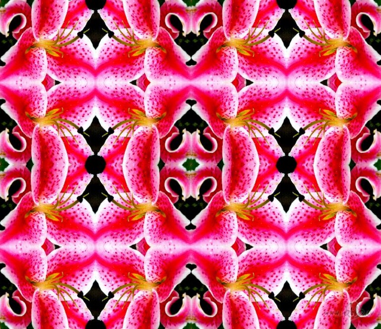 no vakardienas r�tdienai 