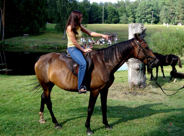 piedz�vojums T�rvet�