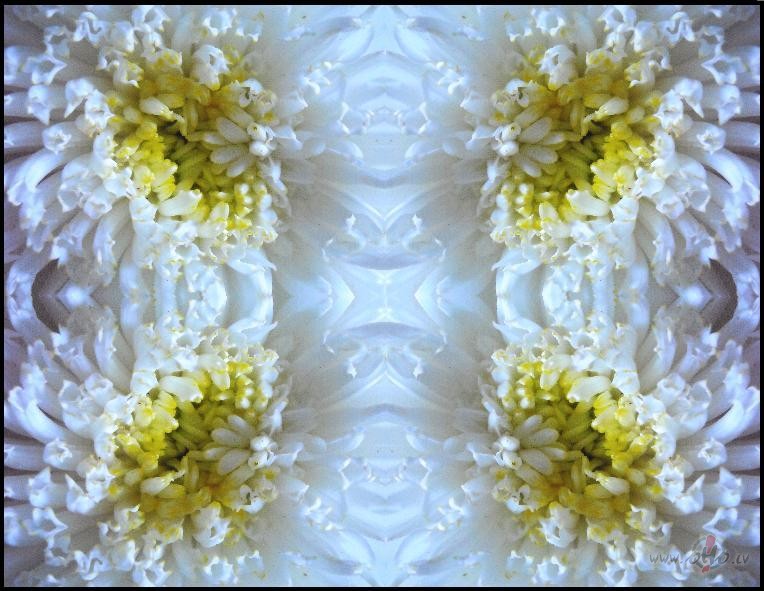 Fant�zija par ziemas t�mu vasar�