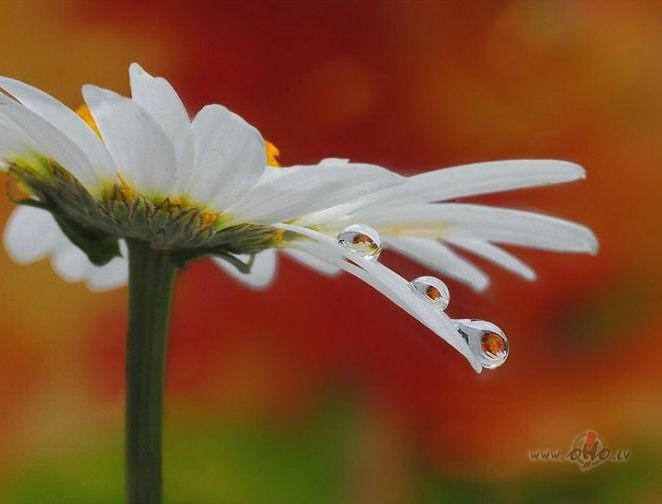 Vakardiena veiksm�gi beigusies! P�c izgul��an�s atkal j�s�k viss no ...