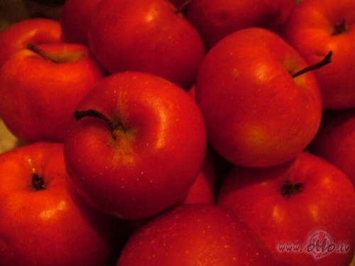 Sveiciens br�vdienas r�t�!!!T�ds svaigums pa logu v�d�: Ruden�gs ...