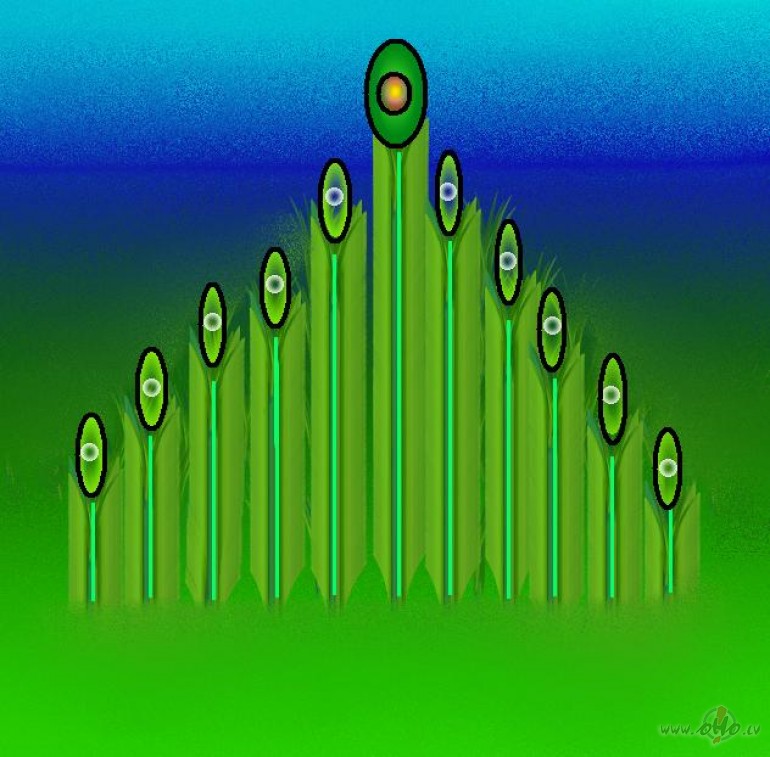 no zemes uz debes�m