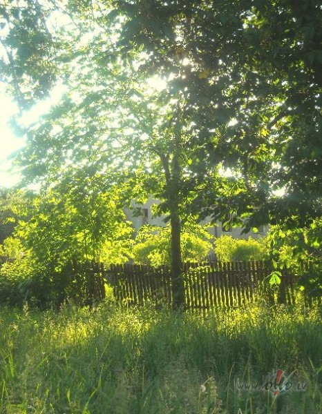 klusu uz pirkstgaliem