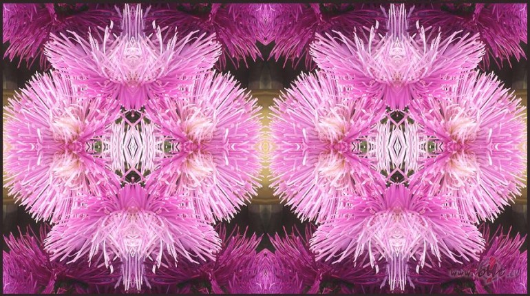 Jauni kaleidoskopi /viens no tiem/