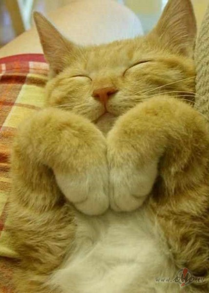 Labr�t, sestdien�!