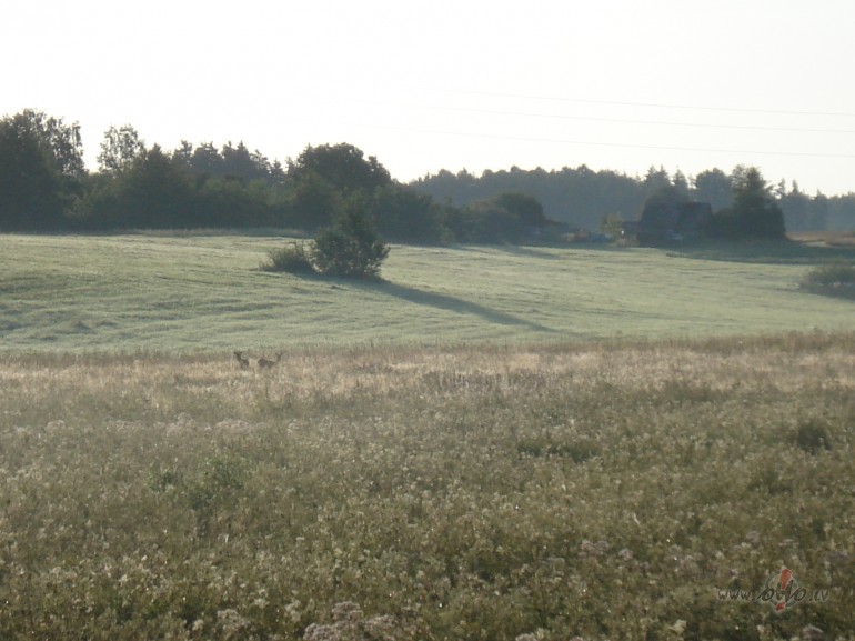 ***Ir scies jau septembris, pirmais rudens mnesis...Vasara ...