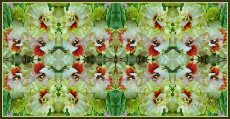 Daudz jaunu kaleidoskopu, te viens