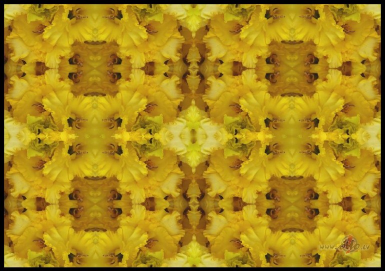 Jauns ieraksts dienasgr�mat�