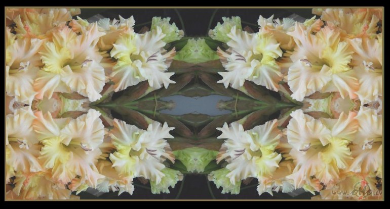 �odiena bija jauka, it �pa�i r�ts...