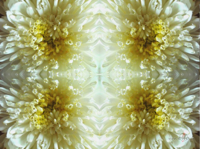 Mirdz k� M�ness.