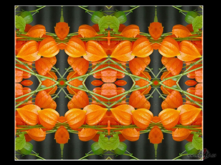 Un te manas saul�tes:))