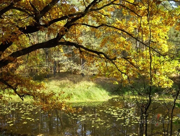 Mums paliek vien �odiena dz�vot,�ai laik� un mirkl�ik sekund� Tevi ...