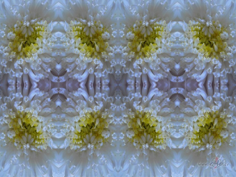 K� uztais�t savu web lapu?