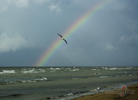 Jums pieejams neierobe�ots ideju kr�jums. Visas zin��anas, atkl�jumi ...