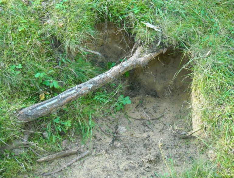 Jauns dz�voklis:))